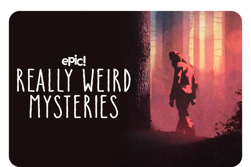 really weird mysteries